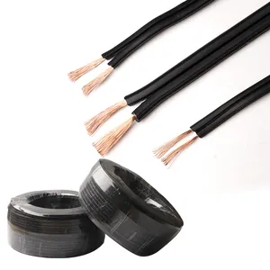 300V 2 النواة الموصلات مرنة تتزاحم النحاس 3.5MM2 Spt كابل 12 Awg الأسلاك الكهربائية ل فرع لمبات راديو الحبل