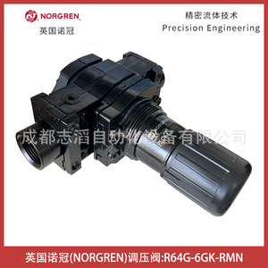 วาล์วลดแรงดันนอร์เกรน R64G-6GK-RMN 1/4 นิ้ว แก๊ส นิวเมติก - Product Image 5