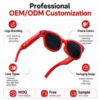 Lunettes Intelligentes OEM avec Caméra Unique, Assistant IA, Traduction en Temps Réel, Vidéo 1080P, Contrôle Tactile, Microphone, Monture Métallique, IP67, Type-C