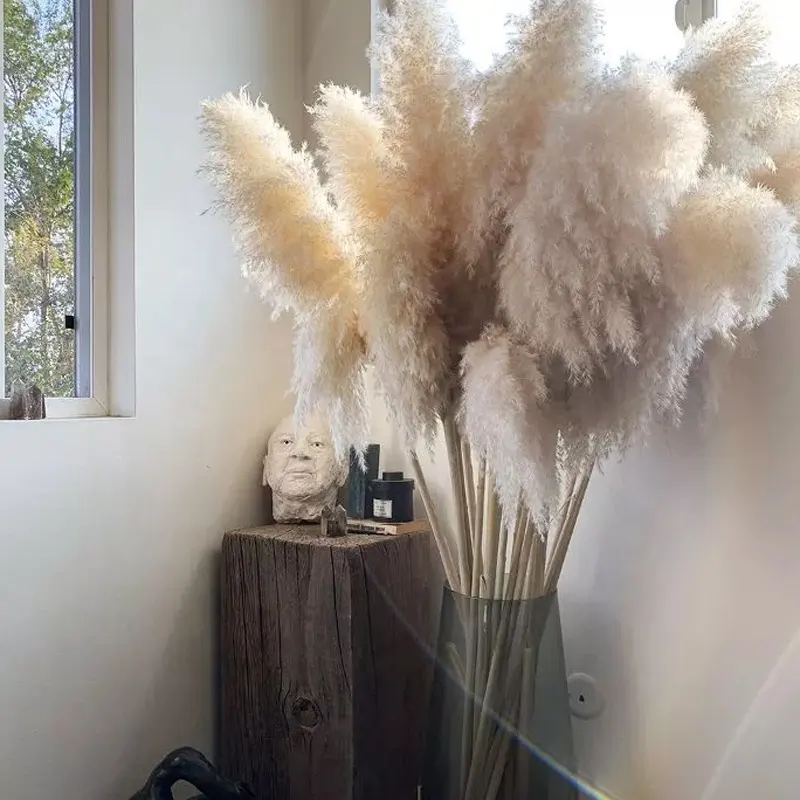 Amazon Top Seller Decoration Dried Flowers Large Natural White Beige Fluffy Pampas Grass For Home Wedding Decoration