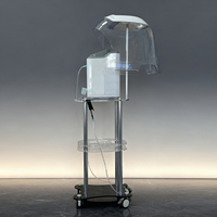 Nouvelle conception de machine de thérapie faciale à oxygène concentré en forme de dôme, prise EU/US, jet peel, rajeunissement de la peau, machine de beauté