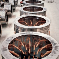 WF Plumeuse Automatique Poulet et Caille Moteur Haute Productivité 110/220V Vente Directe Usine Capacité 3-25 Volatiles