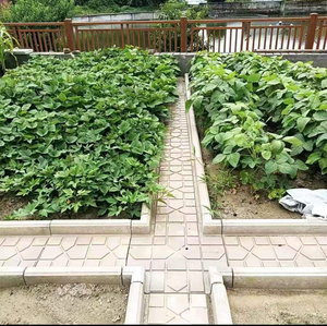 Cetakan Semen Precast untuk Pembuatan Batu Taman Sayuran - Product Image 3