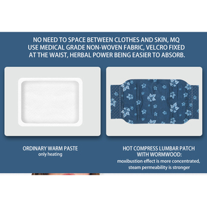 Productos en línea OEM ODM Productos para el cuidado de la salud Precio de fábrica directo Compresa caliente parche lumbar - Product Image 2