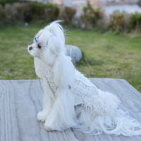 Robe classique personnalisable en gros pour petits chiens et chats – Confortable et respirante en polyester