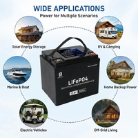 Baterai LiFePO4 12V 6Ah-75Ah Ukuran Sama Seperti Aki Timbal Asam, Pengganti Langsung dengan BMS Pintar Terintegrasi