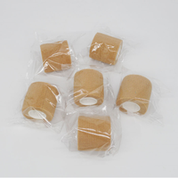 Bande adhésive cohésive pour animaux de compagnie, bandage élastique non tissé pour chiens, chats, soin des pattes, protection sportive 5cm*4.5M