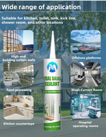Mastic silicone professionnel NP pour réparation domestique, haute résistance, flexible, anti-fuite pour tuyaux, robinets, éviers, baignoires, bois, pierre