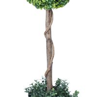 Vente en gros Boule d'herbe en buis artificiel Bonsaï Arbre Plante synthétique en pot Décoration intérieure