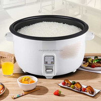 Olla Arrocera Eléctrica Mini de Alta Calidad para el Hogar, de 2-45L, Automática, de Acero Inoxidable con Revestimiento Antiadherente