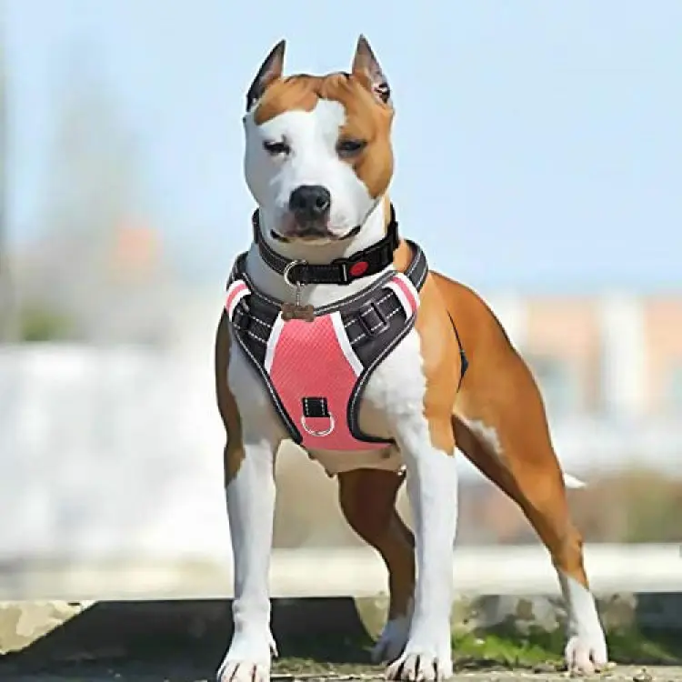 Harness Anjing Besar, Rompi Lembut Oxford Reflektif Tidak Tarik Dapat Disesuaikan untuk Anjing Besar dengan Kontrol Harness
