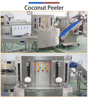 Machine à peler la noix de coco à double poste, équipement commercial pour enlever la peau de la noix de coco brune, destiné aux usines de noix de coco d'Asie du Sud-Est