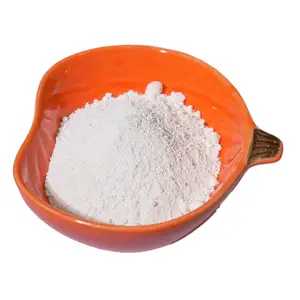 Nano-Sized Super White Light Mgco3 Magnesium Carbonate Factory Supplier In China