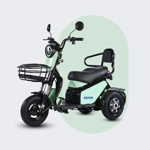 Tricycle électrique pour adultes avec dossier, scooter électrique pour passagers avec accoudoirs, scooter électrique 1500w - Product Image 1