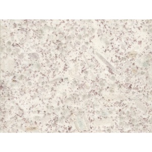 <span class=keywords><strong>Lastre</strong></span> Grandi di <span class=keywords><strong>Granito</strong></span> Bianco Perla con Macchie Viola per Piani di Lavoro, Finitura Bush Hammered, Piastrelle in <span class=keywords><strong>Granito</strong></span> Bianco per Pavimenti - Product Image 1