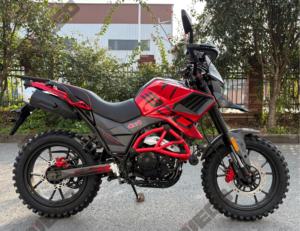 Moto FUEGO <span class=keywords><strong>Tekken</strong></span> 250 300cc de course, moto de rue, nouveau design, pas cher en Chine - Product Image 5