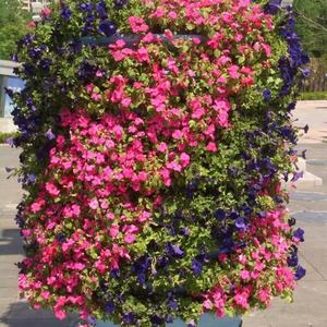 Jardinière modulaire empilable en plastique SOL pour jardin vertical, pots de jardinage en forme de lampadaire, jardinière de rue extérieure - Product Image 5