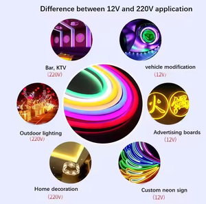 Bande lumineuse LED néon étanche IP67 10m 50m, éclairage extérieur flexible, blanc 3000K 6000K, vert, bleu, rouge - Product Image 2