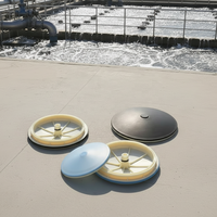 Diffuseur à disque à bulles fines pour le traitement de l'eau, plaque diffuseur à bulles fines en membrane EPDM pour l'aération des réservoirs