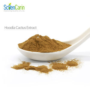 Sciencarin Suministra Extracto de Cactus <span class=keywords><strong>Hoodia</strong></span> <span class=keywords><strong>Gordonii</strong></span> de Grado Alimenticio en Polvo, Extracto Herbal en Envase de Tambor - Product Image 3