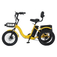 Tricycle électrique utilitaire à gros pneus avec porte-bagages arrière, longue autonomie, 3 roues, pour livraison et usage familial
