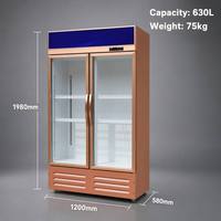Réfrigérateur commercial à double porte vitrée, refroidissement direct, 630L, couleur or rose premium, pour boissons