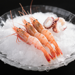 Máy Làm Đá Vảy coldpro 220V công nghiệp sử dụng công suất 25kg - Product Image 4