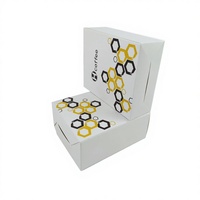 Boîte d'emballage de café de qualité supérieure (Conteneur en papier durable pour la vente au détail et l'expédition)