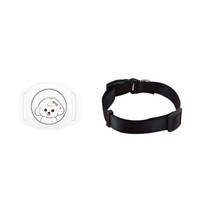 Mini traceur GPS pour animaux de compagnie imperméable anti-perte Réseau 4G Collier GPS avec Bluetooth pour chats Application IOS Localisateur GPS en plastique