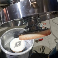Machine à broyer les noix en acier inoxydable, moulin à sésame et tahini, machine électrique pour la fabrication de pâte d'arachide à vendre