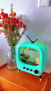 <span class=keywords><strong>Mini</strong></span> aquarium USB avec pierres et matériaux acryliques, éclairage inclus, pour la maison ou le bureau, pour chat - Product Image 5