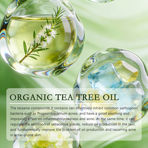 Mousse Detergente Biologica all'Olio di Tea Tree per il Controllo del Sebo - Pulizia Profonda, Antibatterica e Rimozione dell'Acne, Schiarente alla Vitamina C, 120ml - Product Image 3