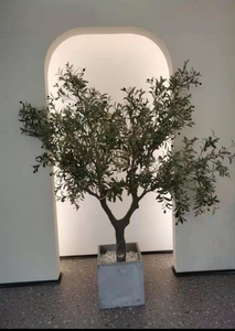 <span class=keywords><strong>Grand</strong></span> olivier artificiel écologique avec feuilles <span class=keywords><strong>en</strong></span> fibre <span class=keywords><strong>de</strong></span> verre et tronc <span class=keywords><strong>en</strong></span> <span class=keywords><strong>bois</strong></span> pour usage extérieur, design détachable - Product Image 6