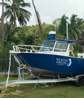 Bateaux de pêche en aluminium Allsea Seaking de 23 pieds (6,85 m) avec pont de pêche circulable, bateau de loisirs en haute mer, cabine ouverte, bateau de baignade