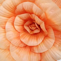 Têtes de fleurs artificielles en non-tissé, faites à la main, de 28 cm, 38 cm, 48 cm, 58 cm, pour décorations de Noël, de mariages et de vitrines de centres commerciaux