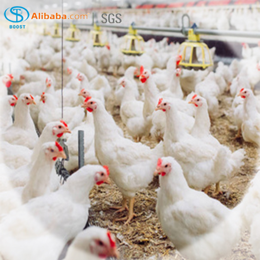 animal breeding supplies