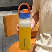 Bouteille d'eau portable en acier inoxydable isolée avec logo personnalisé, poignée en silicone et bec verseur rabattable pour le sport et les voyages