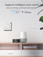 Module de variateur intelligent Tuya DIY, variateurs de lumière WIFI, interrupteur à commande à distance LED, équipement électrique, commande vocale compatible avec Alexa et Google Home
