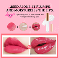 Gloss à lèvres repulpant personnalisé avec logo, injection de lèvres volumineuse, maquillage extrême, marque privée, gloss à lèvres repulpant, huile à lèvres repulpante