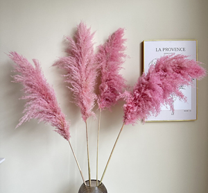 G23 Pink Pampas Perfect Wedding Home Decor Flor seca esponjosa grande Hierba de pampa seca natural Flores de hierba de pampa artificial - Product Image 6
