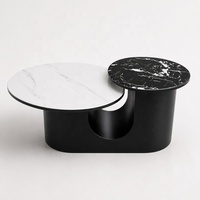 Table basse moderne haut de gamme avec plateau en marbre et structure métallique, design durable pour petit appartement, mobilier de salon de luxe