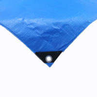 Bâche en polyéthylène imperméable et légère, bleue et blanche, avec œillets