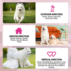 Worafy Pet Herbal Soulagement de la peau pour chiens Poisson et lapins Supplément de vitamine B Doux à mâcher Pet Empêcher les puces et les tiques Doux à mâcher - Product Image 3
