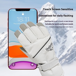 2026 Nieuwe fleece gevoerde skihandschoenen touchscreen voor dames heren warme fiets- motor- winteruitrusting voor buiten snowboarden - Product Image 3