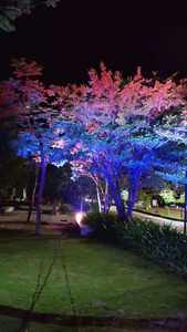 Lámpara LED de Alta Luminosidad RGBW 4 en 1 para Decoración de Árboles, Iluminación de Eventos y Espectáculos - Product Image 1