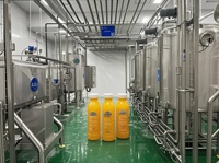 Hele Plant Ananassap Verwerkingsmachines Sap Verwerkingslijn Drank Met Vruchtensap Pasteurisator