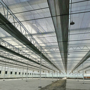 Nouvelle serre en verre de Venlo pour la plantation de fraises bleues et la culture de semences - Product Image 6