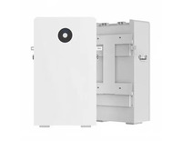 Batterie de stockage d'énergie domestique Deye RW-F16 16 kWh, batterie au lithium LiFePO4 51,2 V, système d'alimentation de secours solaire basse tension