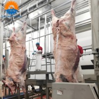 Kait Rel Pipa Baja Tahan Karat SUS304 Tugas Berat untuk Sistem Konveyor Jalur Pipa Rumah Potong Hewan