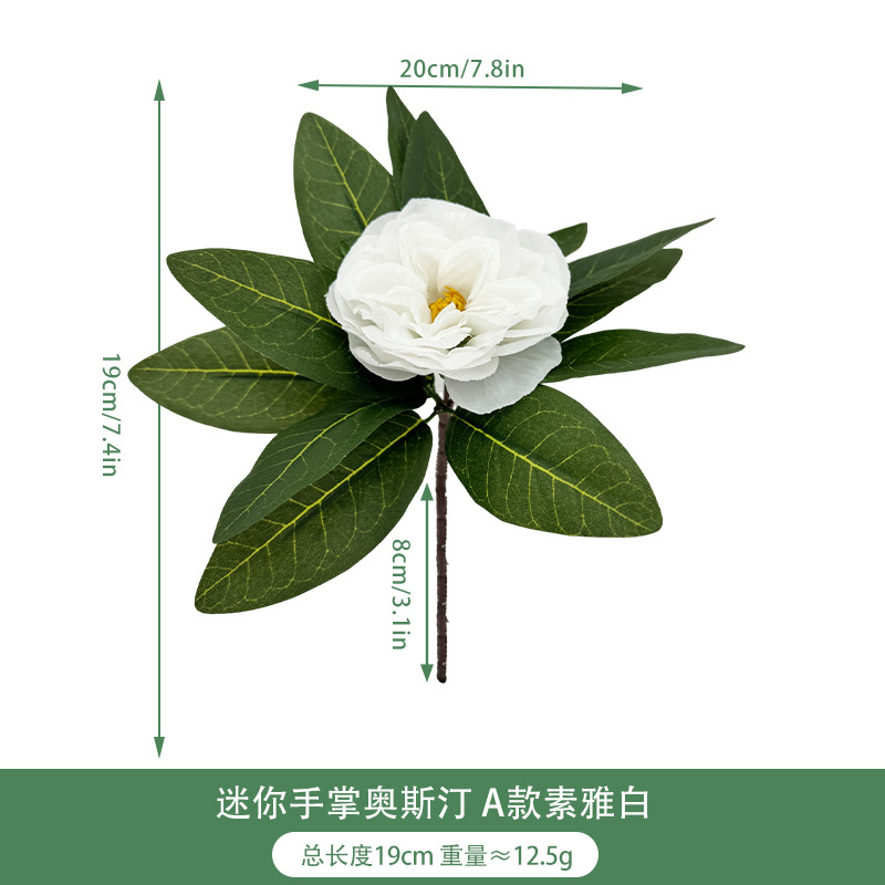 Mini palm austin, modello elegante bianco A11437